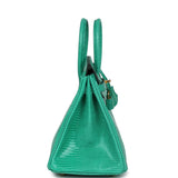 Hermes Birkin 25 Menthe Varanus Niloticus Lizard Gold Hardware