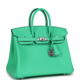 Hermes Birkin 25 Vert Comics Swift Palladium Hardware