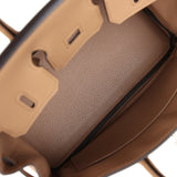 Hermes Birkin 25 Chai Togo Palladium Hardware