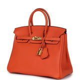 Hermes Birkin 25 Feu Togo Gold Hardware