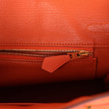 Hermes Birkin 25 Feu Togo Gold Hardware