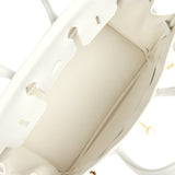Hermes Birkin 25 White Epsom Gold Hardware