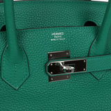 Hermes Birkin 30 Vert Vertigo Verso Clemence Palladium Hardware