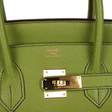 Hermes Birkin 35 Vert Anis Verso Togo Gold Hardware