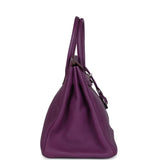 Birkin 35 Anemone Togo Palladium Hardware