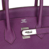 Birkin 35 Anemone Togo Palladium Hardware
